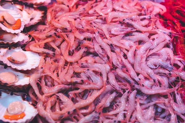 Taze Akdeniz Balığı İspanya 'nın Mlaga kentindeki bir pazar yerinde satılmaya hazır. İspanyol otantik gastronomi kültürü.