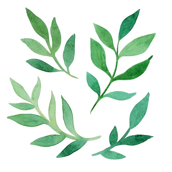 Set of green leaves. Watercolor illustrations. Collection for ca — Stock Photo, Image