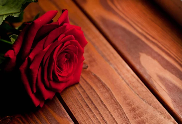 Red rose flower on vintage wooden background. Place for text — Stock Photo, Image