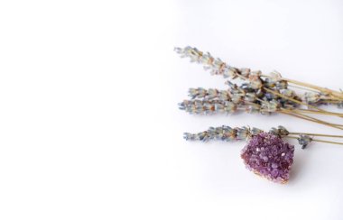  Ametist mor kuraklık ve beyaz arka planda kurutulmuş lavanta. Boşluğu kopyala