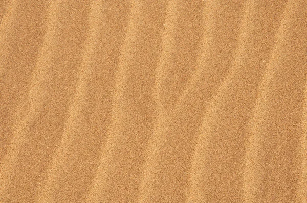 Yazın kumlu plaj desenini kapatın. Sarı kum dalgaları. Kum tepeleri.