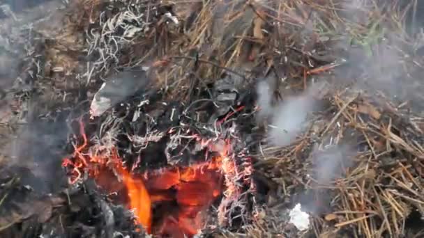 O vento sopra o fogo e rapidamente entrou em erupção. fumaça, fuligem — Vídeo de Stock