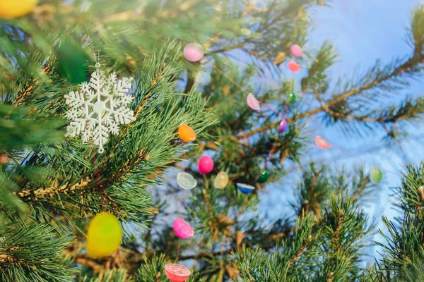 Χειμωνιάτικο δέντρο διακόσμηση γιρλάντα από χρωματιστό πάγο. αναψυχή με παιδιά. — Φωτογραφία Αρχείου