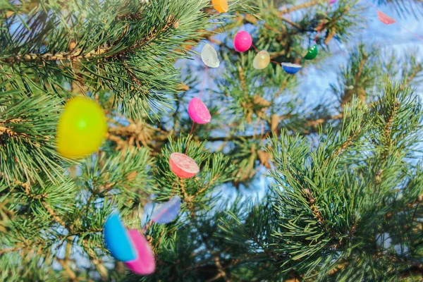 Inverno árvore decoração guirlanda de gelo colorido. feitos à mão — Fotografia de Stock