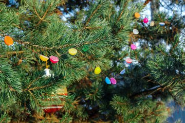 Renkli buzdan yapılmış kış ağacı süslemesi. El yapımı, çocuklarla vakit geçirme..