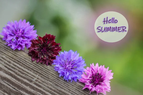 Hallo Sommer, Konzept der sonnigen warmen Tage — Stockfoto