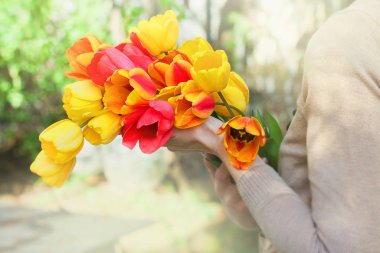 Bahar havası ve şefkat kavramı. Renkli lalelerden bir buket