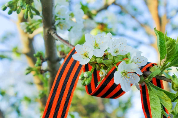 9 Mayıs Zafer Bayramı arkaplanı. Boşluğu kopyala