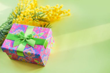 Güneş altında mimoza dalı olan hediye kutusu. Neşeli bahar havası.