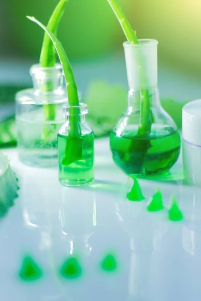 Aloe vera y gel producto sobre fondo blanco, concepto de cuidado de la piel a base de hierbas . — Foto de Stock