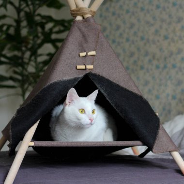 Sarı gözlü beyaz bir kedi evinde oturuyor. En sevdiğin evcil hayvanın için kendi yaptığın rahat bir Lodge Wigwam..