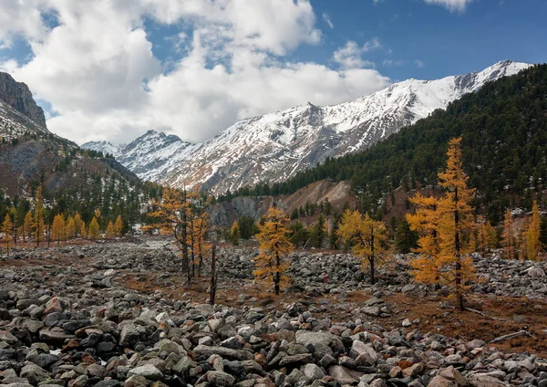 Autumn in the mountains — Stock Photo, Image