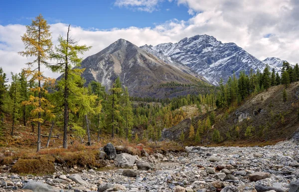 Herbst in den Bergen — Stockfoto