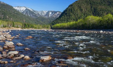 Dağlar ridge Khamar-Daban nehir Snegnaya