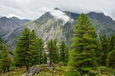 Bilyuta nehrin Doğu Sayan dağlarda
