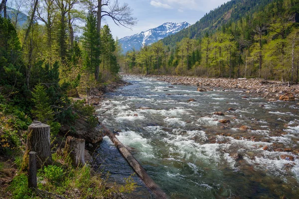 Tunkinskie Schmerlen im khamar-daban Gebirge — Stockfoto