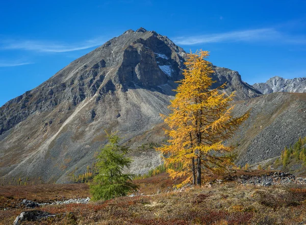 Contrastes de outono em montanhas — Fotografia de Stock