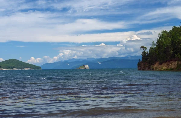 Baie Okunevaya Perche Chivyrkuy Golfe Lac Baïkal — Photo