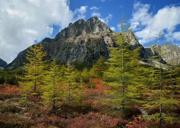 Herbstbeginn Kodar Gebirge — Stockfoto
