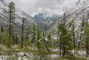 Shumak Nehri Vadisi Tunkinsky Goltsy, Doğu Sayans, Cumhuriyet Buryatia dağlarında