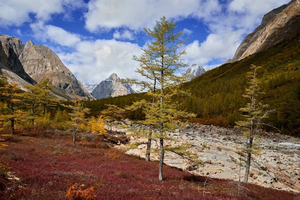 Sonbahar Başlangıcı Kodar Dağlarda — Stok fotoğraf