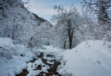 Khamar-Daban dağlarda bahar