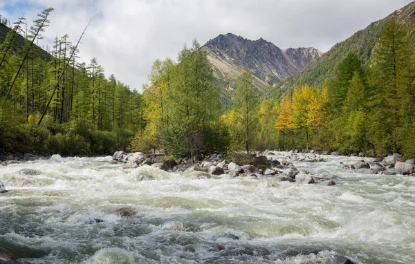 Río Alto Sakukan Cordillera Kodar Siberia Oriental Transbaikalia —  Fotos de Stock