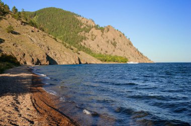 Cape Skriper görünümünü