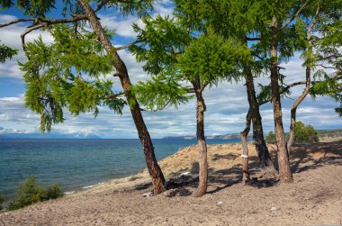 Doğu Sibirya Olkhonsky peyzaj