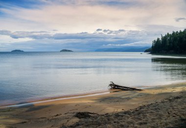 Deniz Baykal ın defne haçlar