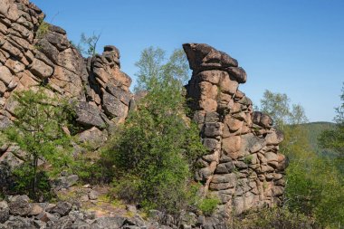 Olkhinskoye Yaylası Doğu Sibirya Irkutsk bölgesinde devam et