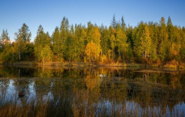 Doğu Sibirya transbaikalia aralığında kodar gölde