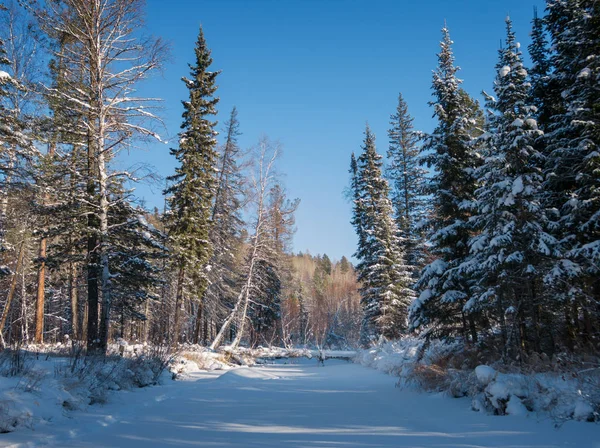 Vinter River Olha Östra Sibirien — Stockfoto