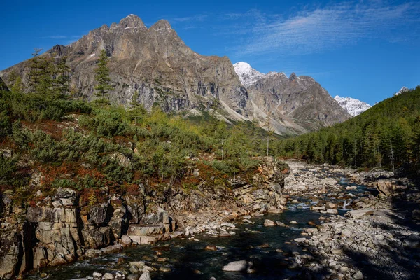 Doğu Sibirya Orta Sakukan Nehri Transbaikalia — Stok fotoğraf