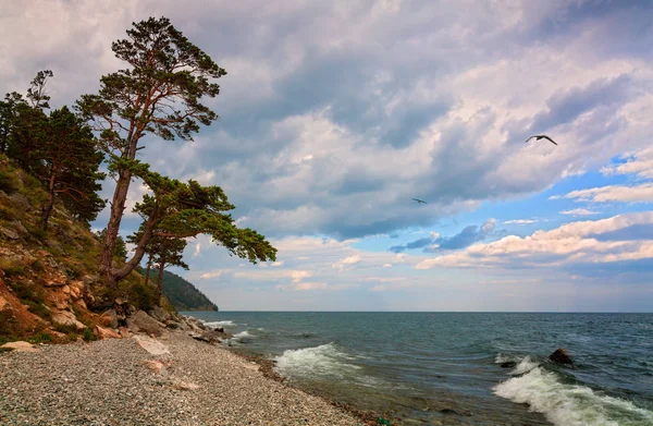 Orilla Del Lago Baikal Siberia Oriental Región Irkutsk — Foto de Stock