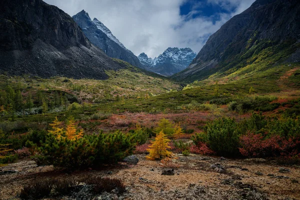 Mountain range Kodar in Eastern Siberia. Peak BAM. — Stock Image Mountain Range Kodar Eastern Siberia Peak Bam Stock Photo