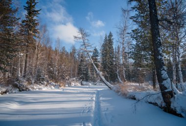 Doğu Sibirya kış nehir Olha
