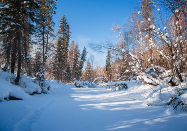 Doğu Sibirya kış nehir Olha