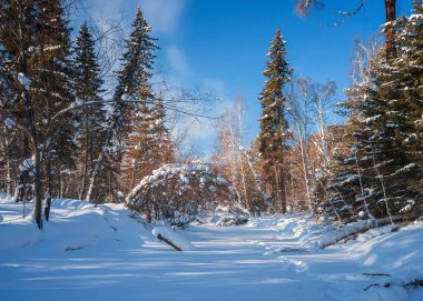 Doğu Sibirya kış nehir Olha