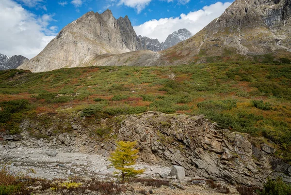 Mountain range Royal Throne on Kodar Ridge in Eastern Siberia, Irkutsk region — Stock Image Mountain Range Royal Throne Kodar Ridge Eastern Siberia Irkutsk Region Stock Picture