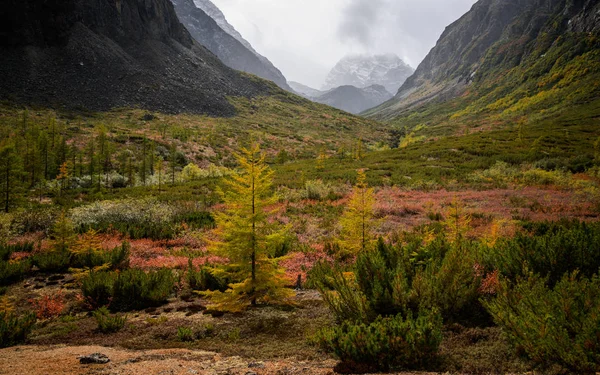 Mountain range Kodar in Eastern Siberia, Transbaikalia — Stock Image Mountain Range Kodar Eastern Siberia Transbaikalia Royalty Free Stock Images