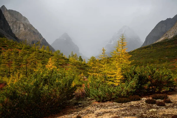 Mountain range Kodar in Eastern Siberia, Transbaikalia — Stock Image Mountain Range Kodar Eastern Siberia Transbaikalia Royalty Free Stock Images
