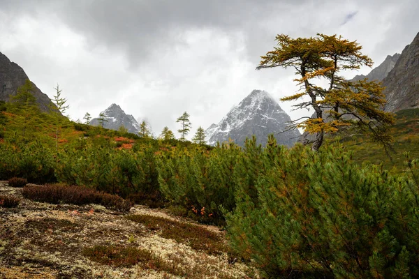 Mountain range Kodar in Eastern Siberia, Transbaikalia — Stock Image Mountain Range Kodar Eastern Siberia Transbaikalia Stock Image