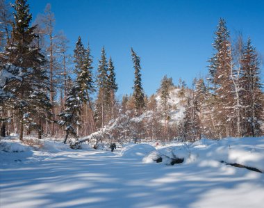 Kış nehir Olha Doğu Sibirya, Irkutsk bölge