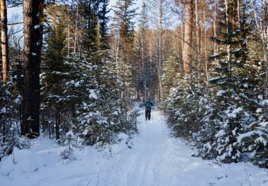 Kış nehir Olha Doğu Sibirya, Irkutsk bölge