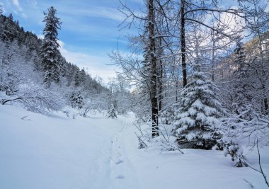 Khamar-Daban dağlarında bahar, Doğu Sibirya, Irkutsk bölgesinde