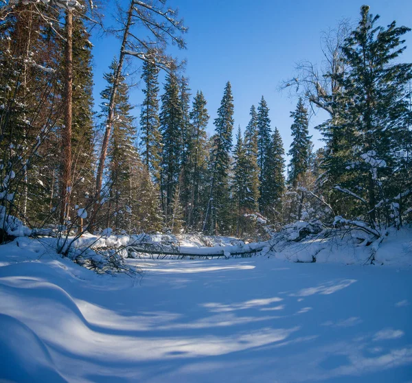 Río Olha Este Siberia Región Irkutsk — Foto de Stock