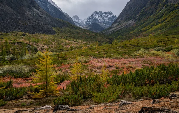 Mountain range Kodar in Eastern Siberia, Transbaikalia — Stock Image Mountain Range Kodar Eastern Siberia Transbaikalia Royalty Free Stock Images
