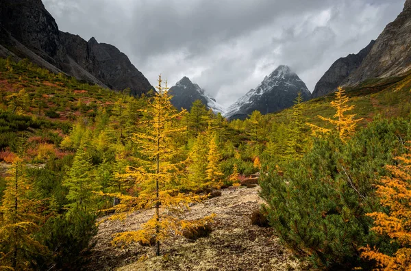 Mountain range Kodar in Eastern Siberia, Transbaikalia — Stock Image Mountain Range Kodar Eastern Siberia Transbaikalia Royalty Free Stock Photos