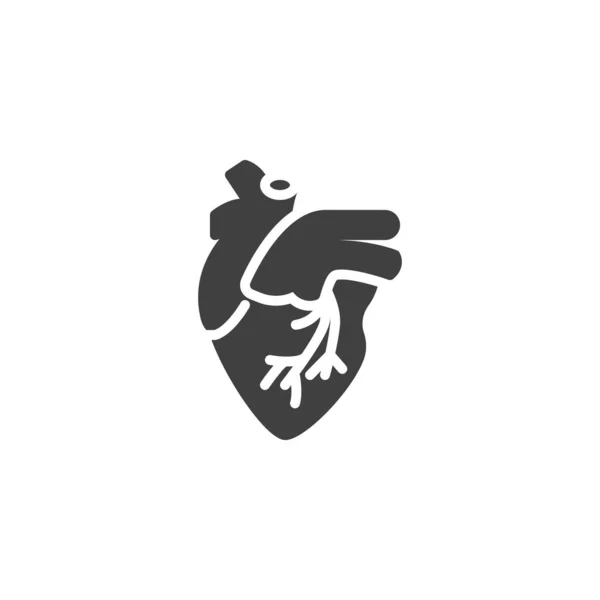 İnsan Kalbi vektörü simgesi — Stok Vektör